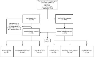 Vanishing twin syndrome is associated with first-trimester intrauterine hematoma in twin pregnancies after in vitro fertilization